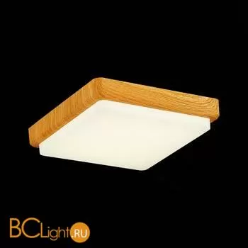 Потолочный светильник Evoluce Taddio SLE200202-01 - Фото 3