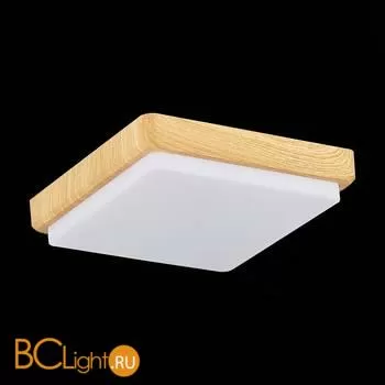 Потолочный светильник Evoluce Taddio SLE200202-01