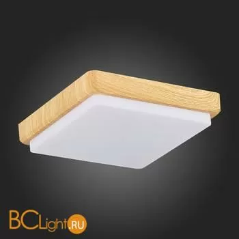 Потолочный светильник Evoluce Taddio SLE200202-01 - Фото 6