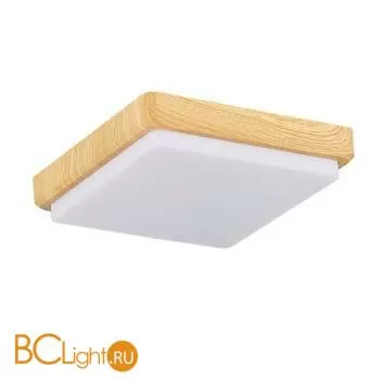 Потолочный светильник Evoluce Taddio SLE200202-01 - Фото 1