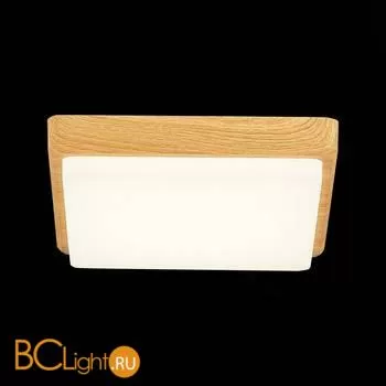 Потолочный светильник Evoluce Taddio SLE200202-01 - Фото 4