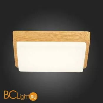 Потолочный светильник Evoluce Taddio SLE200202-01 - Фото 7