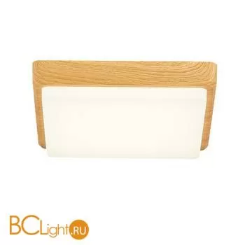 Потолочный светильник Evoluce Taddio SLE200202-01 - Фото 2