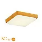 Потолочный светильник Evoluce Taddio SLE200202-01 - Фото 0