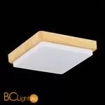 Потолочный светильник Evoluce Taddio SLE200202-01