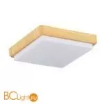 Потолочный светильник Evoluce Taddio SLE200202-01 - Фото 1