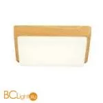 Потолочный светильник Evoluce Taddio SLE200202-01 - Фото 2