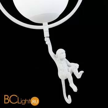 Подвесной светильник Evoluce Tenato SLE115113-01 - Фото 4