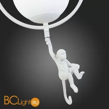 Подвесной светильник Evoluce Tenato SLE115113-01 - Фото 7