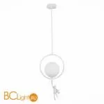 Подвесной светильник Evoluce Tenato SLE115113-01 - Фото 1