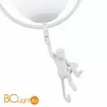 Подвесной светильник Evoluce Tenato SLE115113-01 - Фото 2