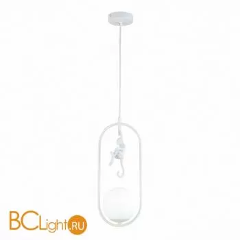 Подвесной светильник Evoluce Tenato SLE115123-01