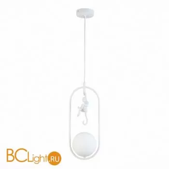 Подвесной светильник Evoluce Tenato SLE115123-01 - Фото 0