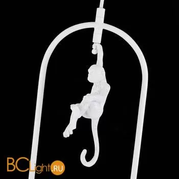 Подвесной светильник Evoluce Tenato SLE115123-01 - Фото 4