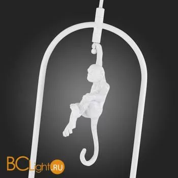 Подвесной светильник Evoluce Tenato SLE115123-01 - Фото 7