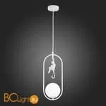 Подвесной светильник Evoluce Tenato SLE115123-01 - Фото 5