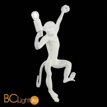 Настенный светильник Evoluce Tenato SLE115111-01 - Фото 3