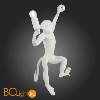 Настенный светильник Evoluce Tenato SLE115111-01 - Фото 5