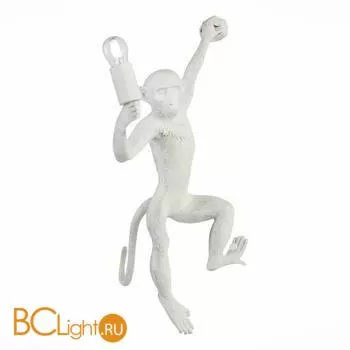 Настенный светильник Evoluce Tenato SLE115111-01 - Фото 0