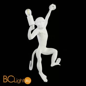 Настенный светильник Evoluce Tenato SLE115111-01