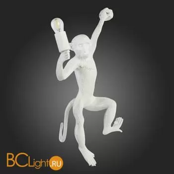 Настенный светильник Evoluce Tenato SLE115111-01 - Фото 6