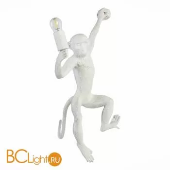 Настенный светильник Evoluce Tenato SLE115111-01 - Фото 1