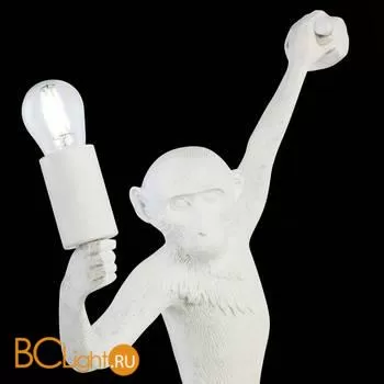 Настенный светильник Evoluce Tenato SLE115111-01 - Фото 4