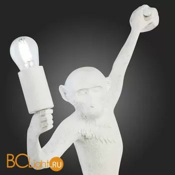 Настенный светильник Evoluce Tenato SLE115111-01 - Фото 7