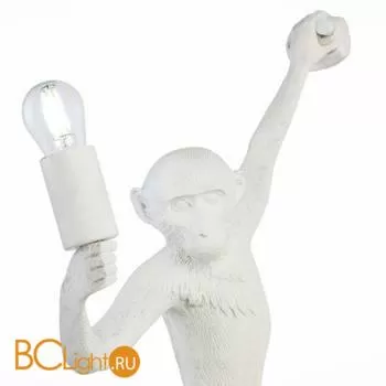 Настенный светильник Evoluce Tenato SLE115111-01 - Фото 2