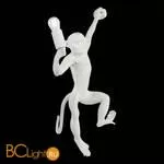 Настенный светильник Evoluce Tenato SLE115111-01 - Фото 3