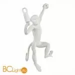 Настенный светильник Evoluce Tenato SLE115111-01 - Фото 0