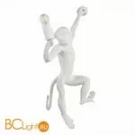 Настенный светильник Evoluce Tenato SLE115111-01 - Фото 1