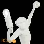 Настенный светильник Evoluce Tenato SLE115111-01 - Фото 4