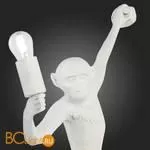 Настенный светильник Evoluce Tenato SLE115111-01 - Фото 7