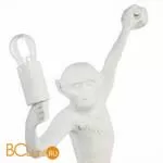 Настенный светильник Evoluce Tenato SLE115111-01 - Фото 2