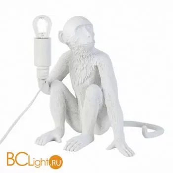 Настольный светильник Evoluce Tenato SLE115104-01 - Фото 0