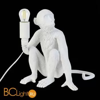 Настольный светильник Evoluce Tenato SLE115104-01 - Фото 4