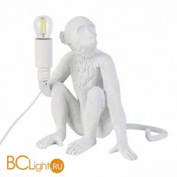 Настольный светильник Evoluce Tenato SLE115104-01 - Фото 1