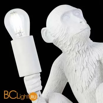 Настольный светильник Evoluce Tenato SLE115104-01 - Фото 5