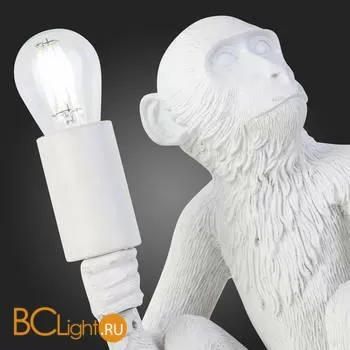 Настольный светильник Evoluce Tenato SLE115104-01 - Фото 8