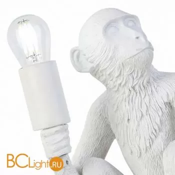 Настольный светильник Evoluce Tenato SLE115104-01 - Фото 2