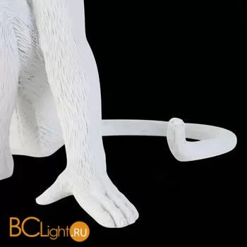 Настольный светильник Evoluce Tenato SLE115104-01 - Фото 6