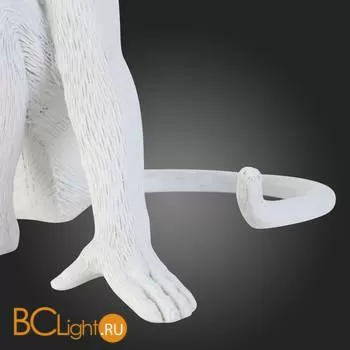 Настольный светильник Evoluce Tenato SLE115104-01 - Фото 9