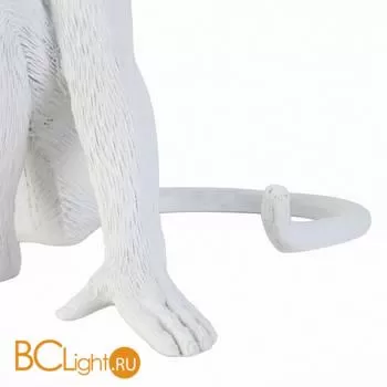 Настольный светильник Evoluce Tenato SLE115104-01 - Фото 3