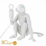 Настольный светильник Evoluce Tenato SLE115104-01 - Фото 0