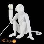 Настольный светильник Evoluce Tenato SLE115104-01 - Фото 4