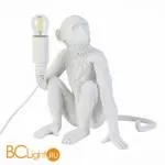 Настольный светильник Evoluce Tenato SLE115104-01 - Фото 1