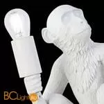 Настольный светильник Evoluce Tenato SLE115104-01 - Фото 5