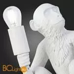 Настольный светильник Evoluce Tenato SLE115104-01 - Фото 8