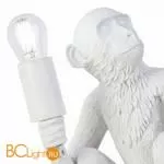 Настольный светильник Evoluce Tenato SLE115104-01 - Фото 2